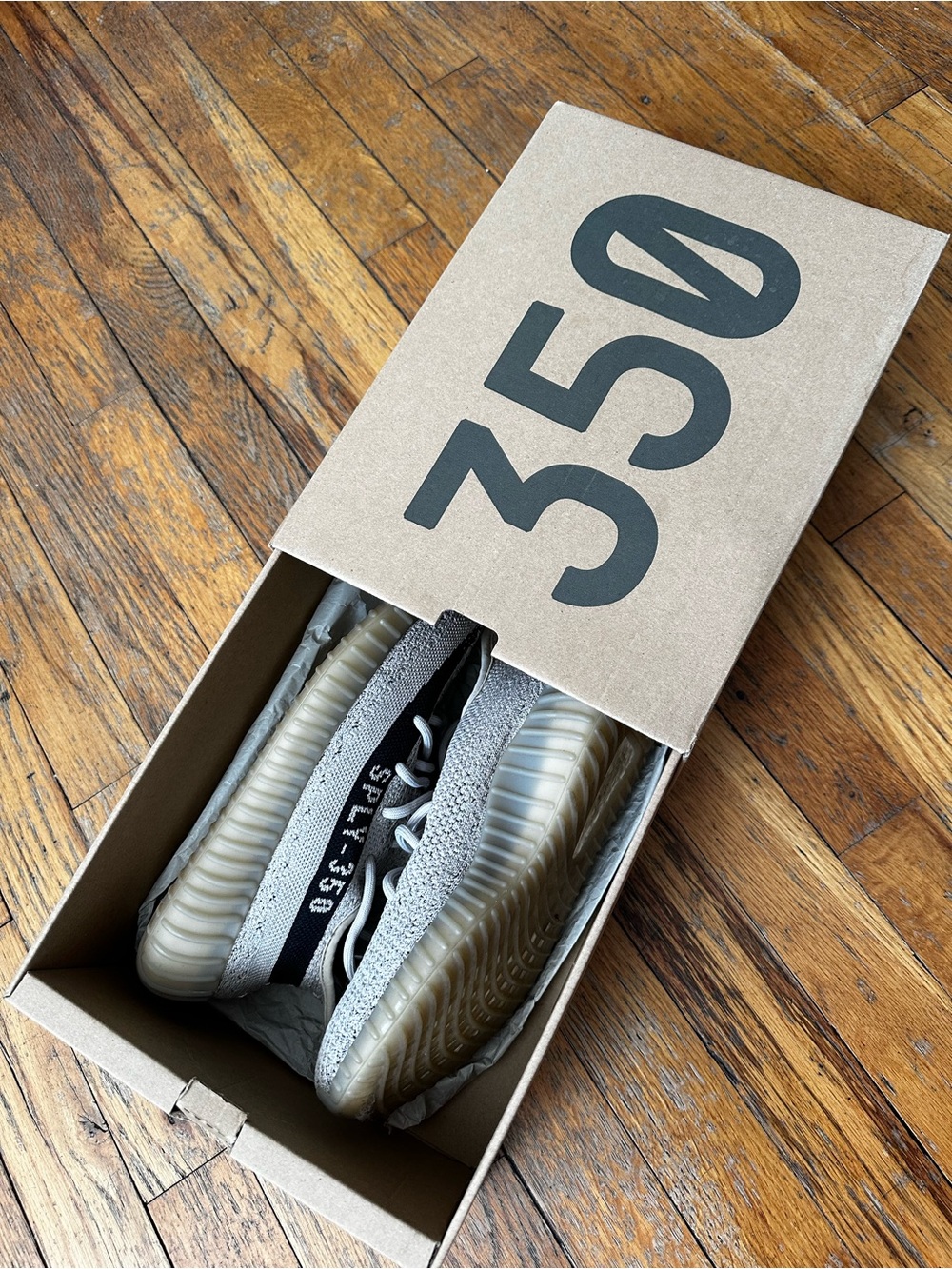 Yeezy 350 V2